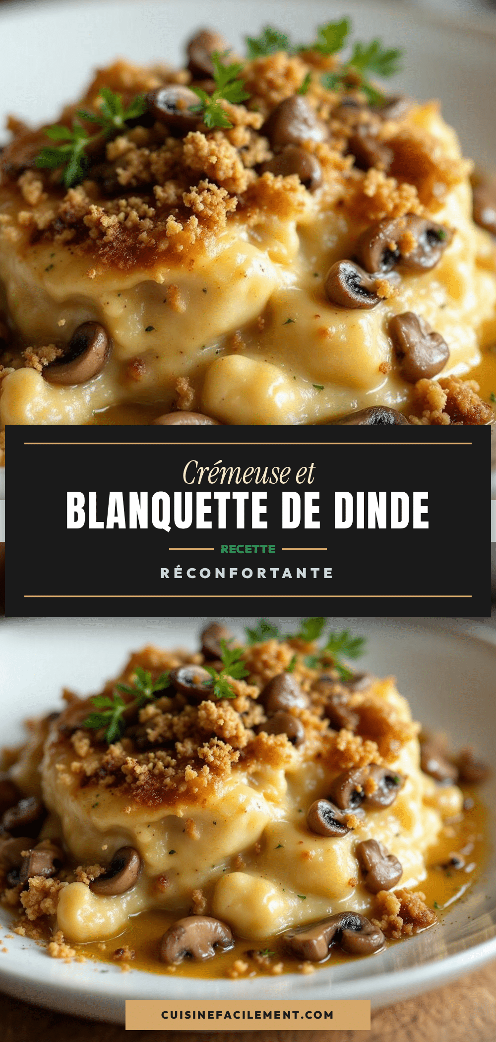 blanquette de dinde crémeuse aux champignons recipe