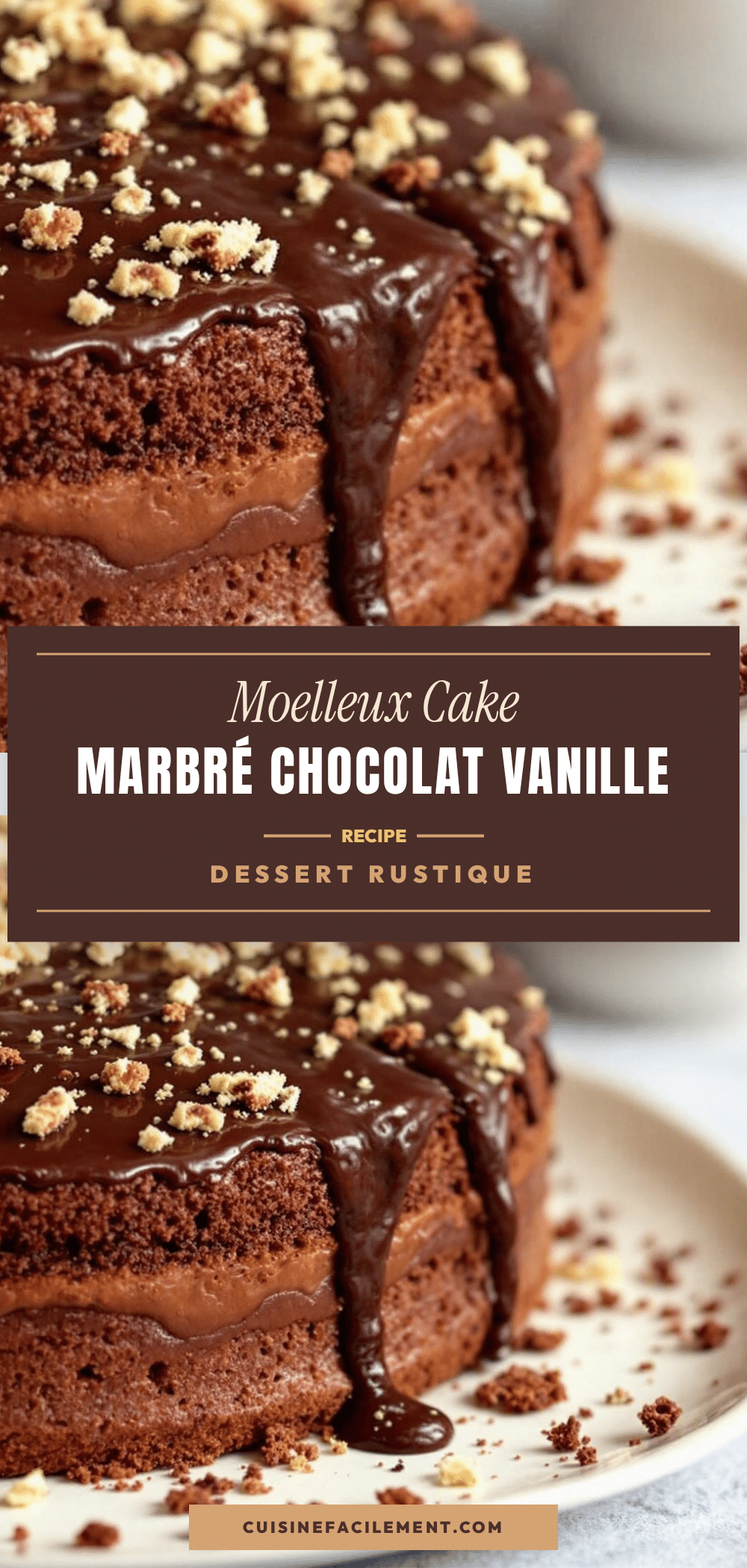 moelleux cake marbré chocolat vanille recipe